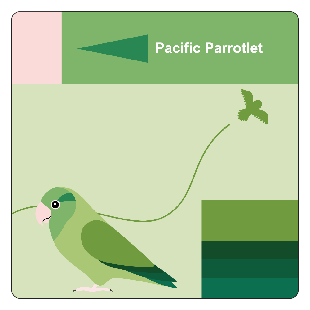 アブストラクト バード マメルリハインコ グリーン の商品購入ページ オリジナルプリントグッズ販売のオリラボマーケット