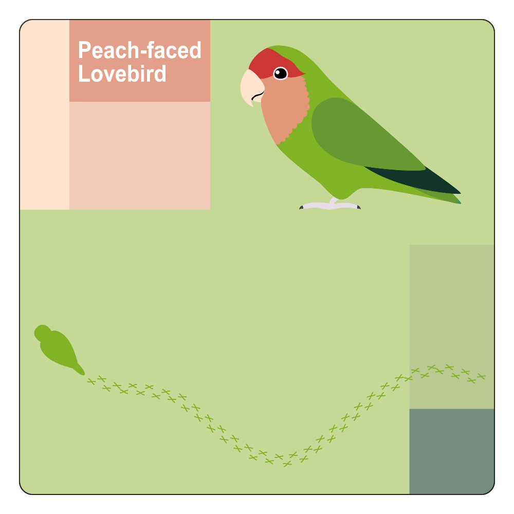 アブストラクト バード コザクラインコ ノーマル の商品購入ページ オリジナルプリントグッズ販売のオリラボマーケット