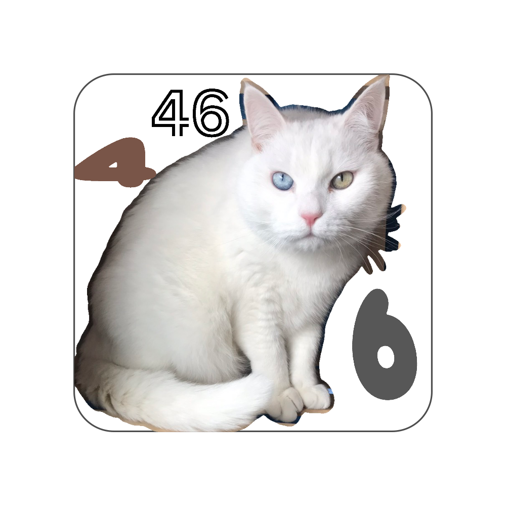 オッドアイ白猫の商品購入ページ オリジナルプリントグッズ販売のオリラボマーケット