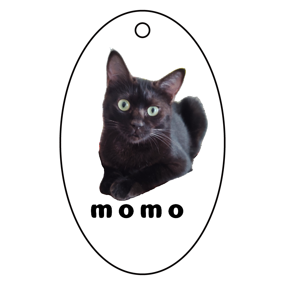 黒ねこももちゃん アクリルキーホルダー　楕円型 (6cm)