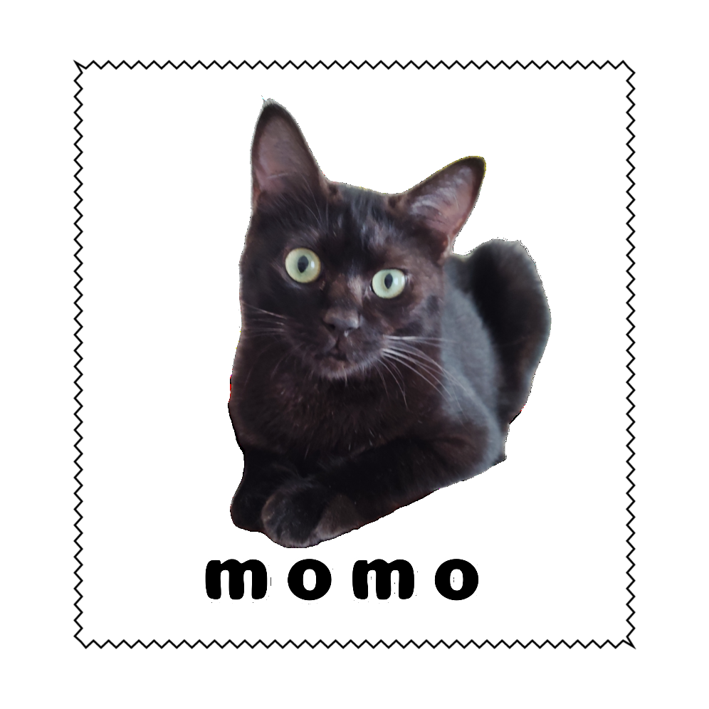 黒ねこももちゃん マイクロファイバーメガネ拭き