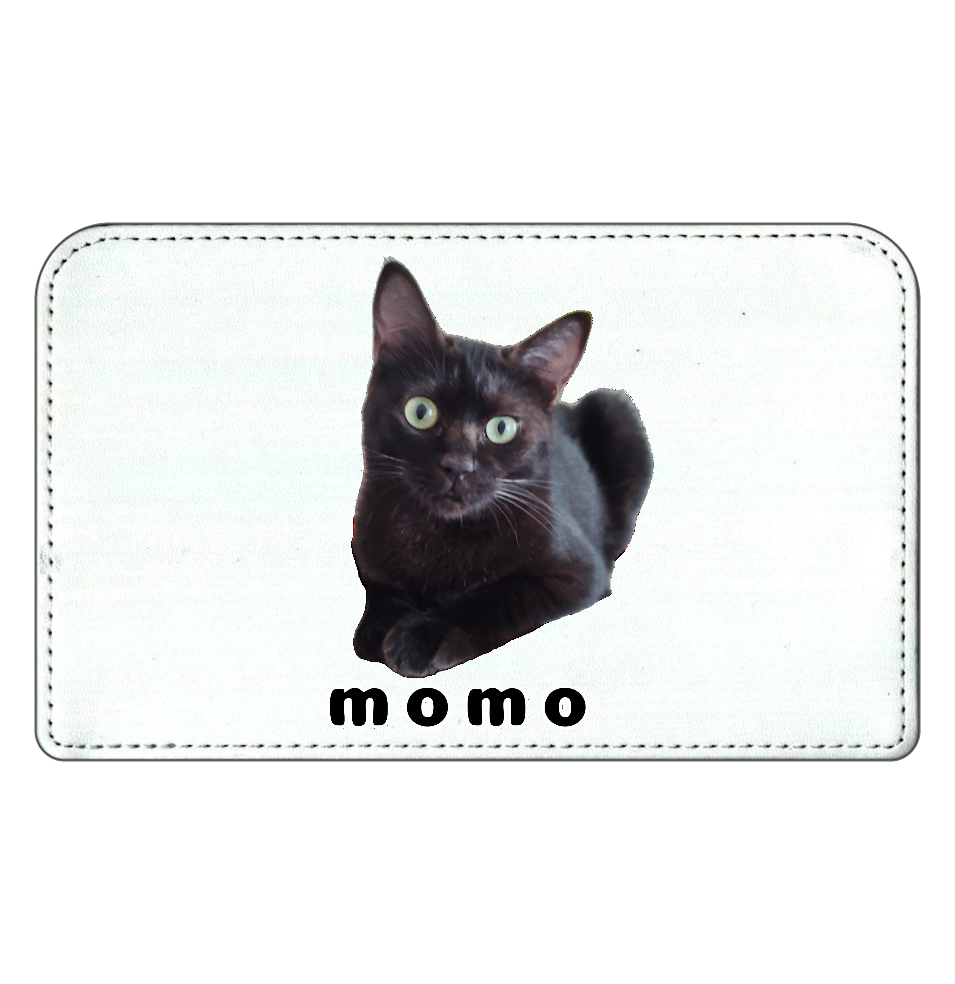 黒ねこももちゃん スクエアレザーポーチ