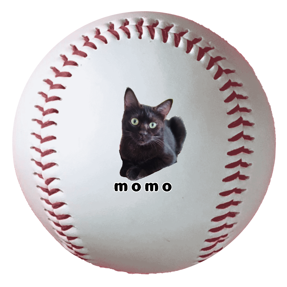 黒ねこももちゃん 野球ボール（硬式）