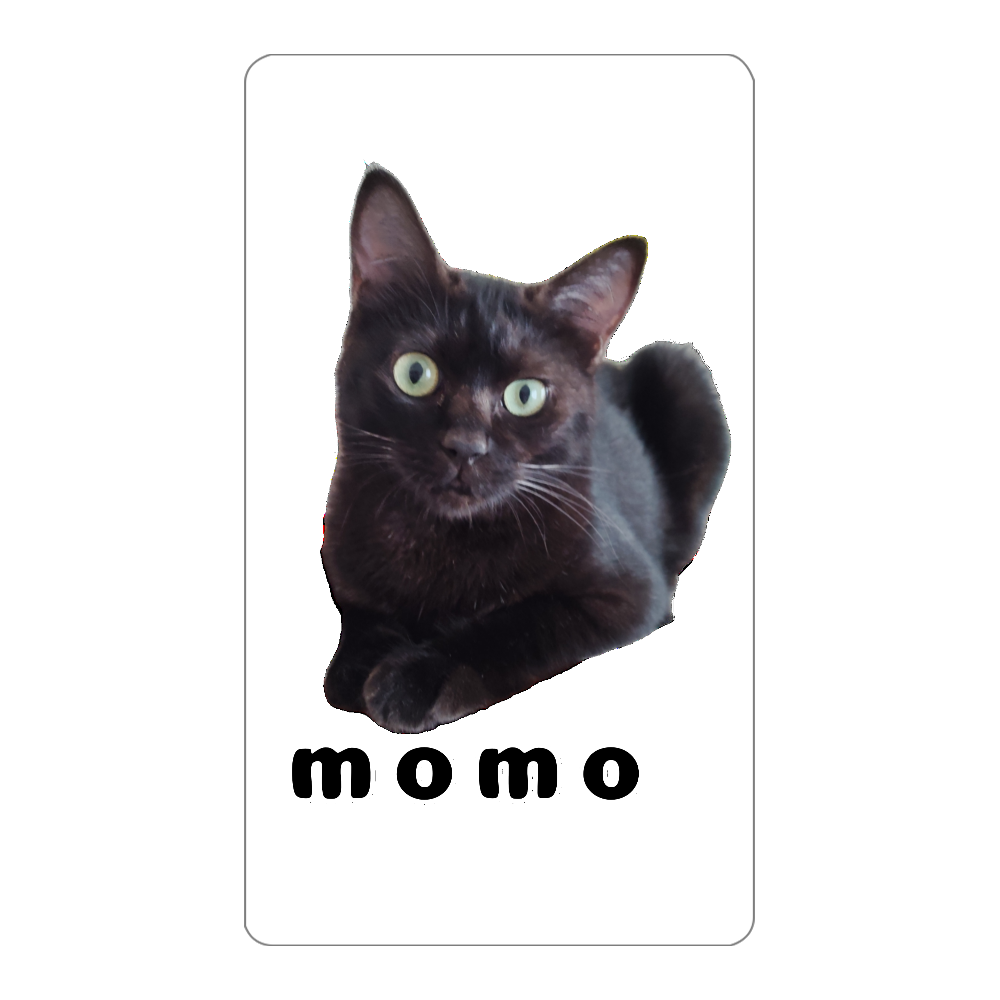 黒ねこももちゃん インジケータ無バッテリー4000mAh