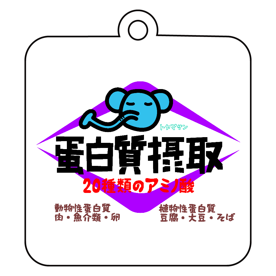 蛋白質摂取 アクリルキーホルダー　四角型 (6cm)