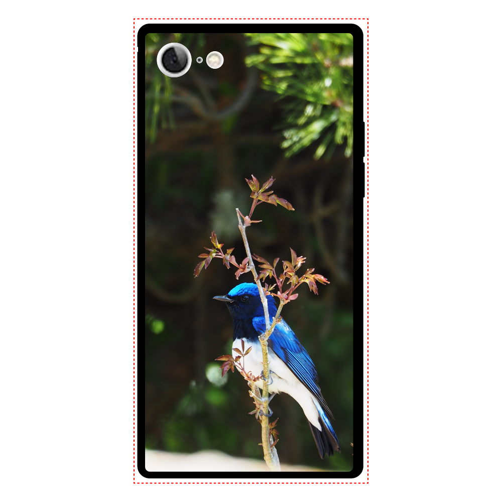 青い鳥 オオルリ の商品購入ページ オリジナルプリントグッズ販売のオリラボマーケット