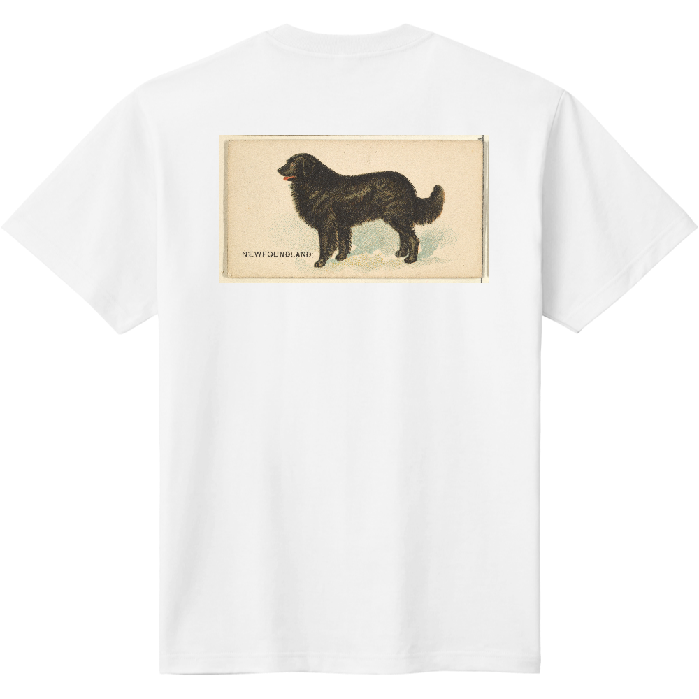 犬tシャツ かわいい犬イラスト No 0034 バックプリントtシャツ メンズ レディースの商品購入ページ オリジナルプリントグッズ販売のオリラボマーケット
