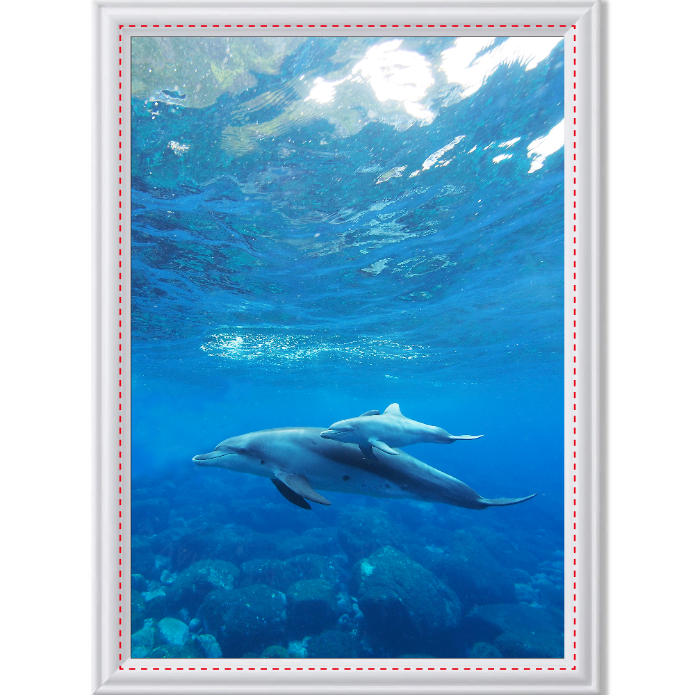 イルカ親子 T01の商品購入ページ オリジナルプリントグッズ販売のオリラボマーケット