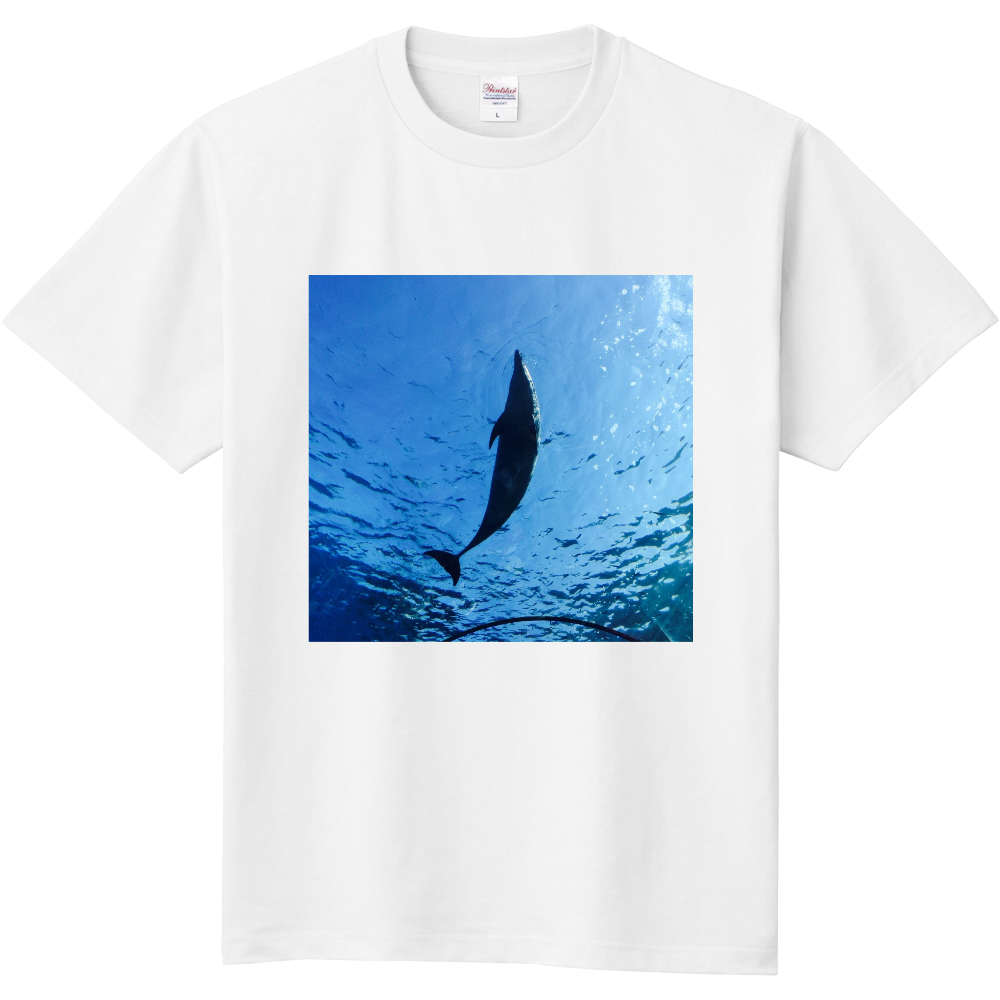  イルカTシャツ