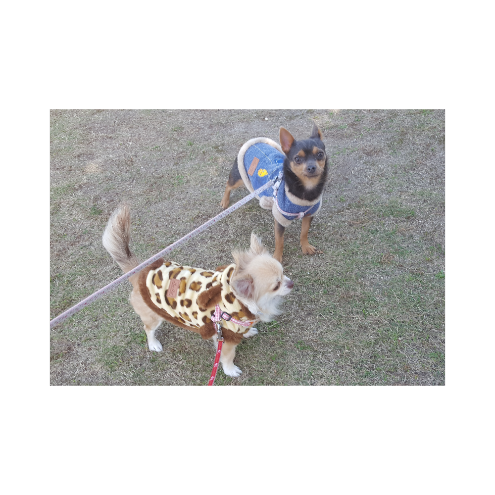 オリジナルブランケット オリラボマーケット