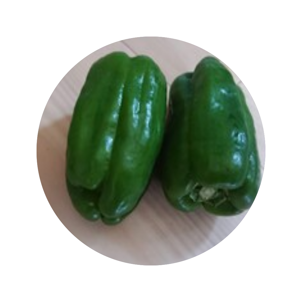 オリジナルグッズの販売 購入ならオリラボマーケット