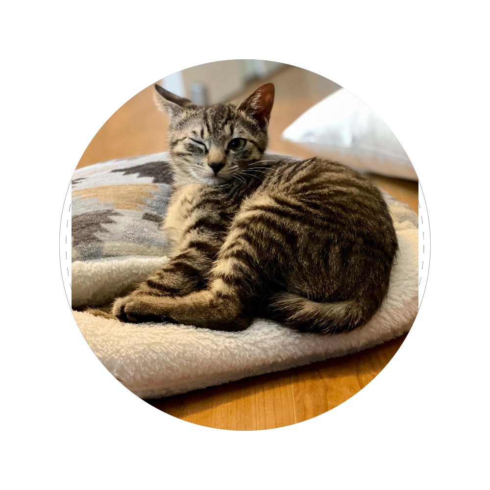 オリジナル缶バッジ オリラボマーケット