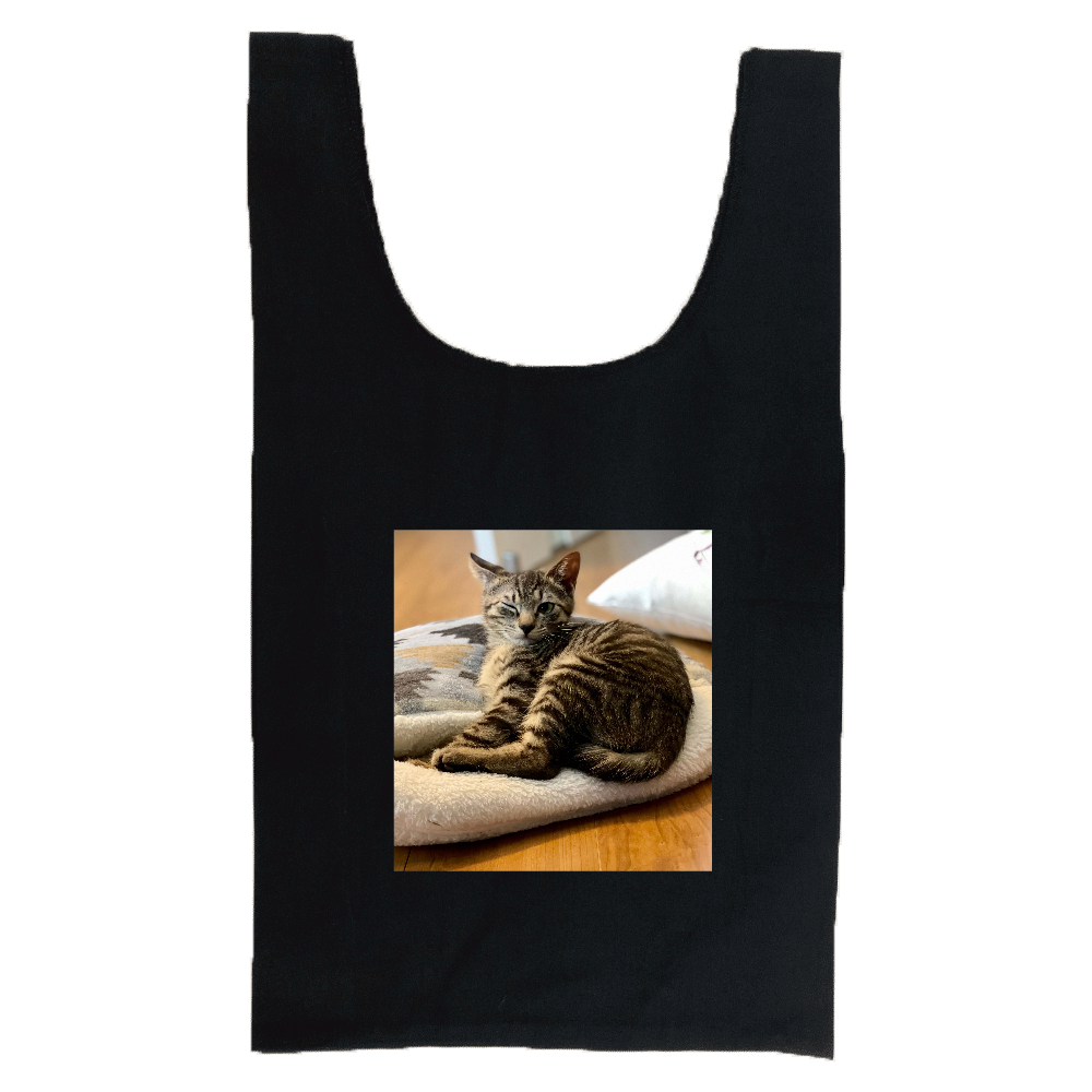 オシャレな写真のバッグ ケースを使ったオリジナルグッズ通販ならオリラボマーケット