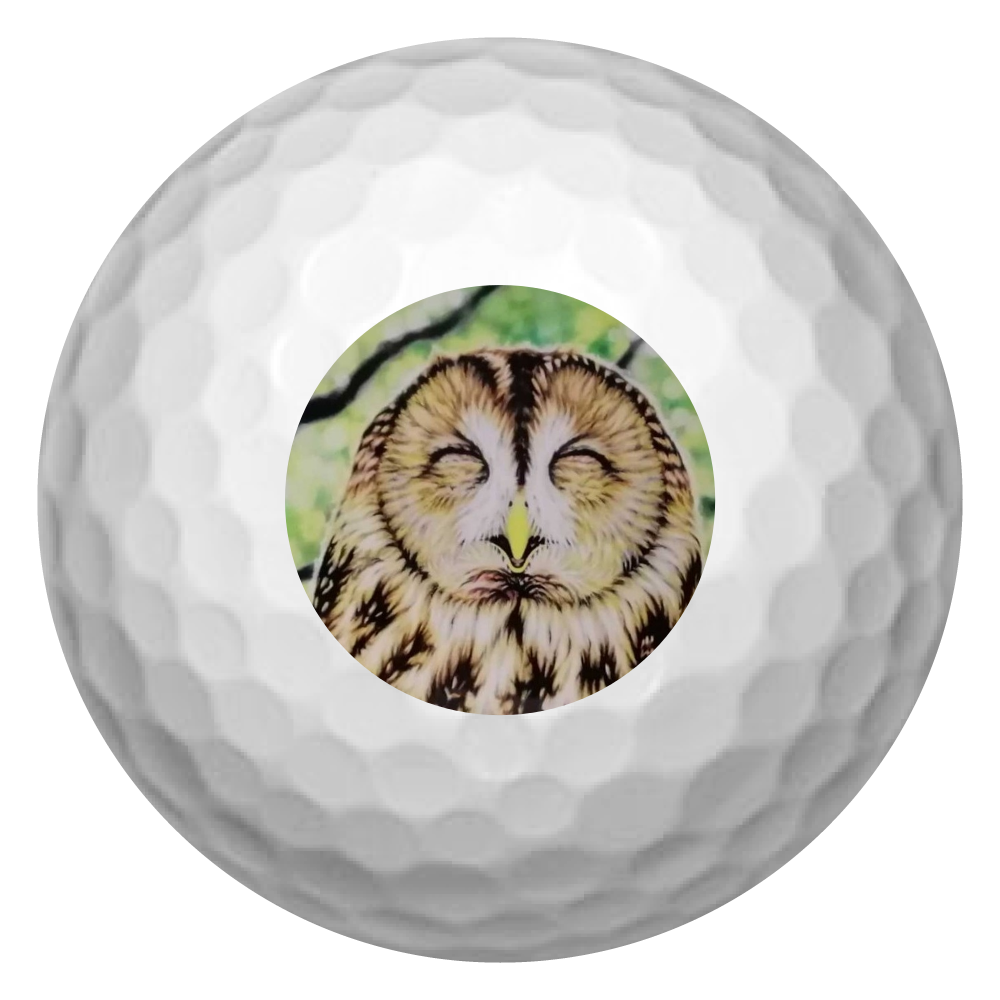 オリジナルゴルフボール｜オリラボマーケット