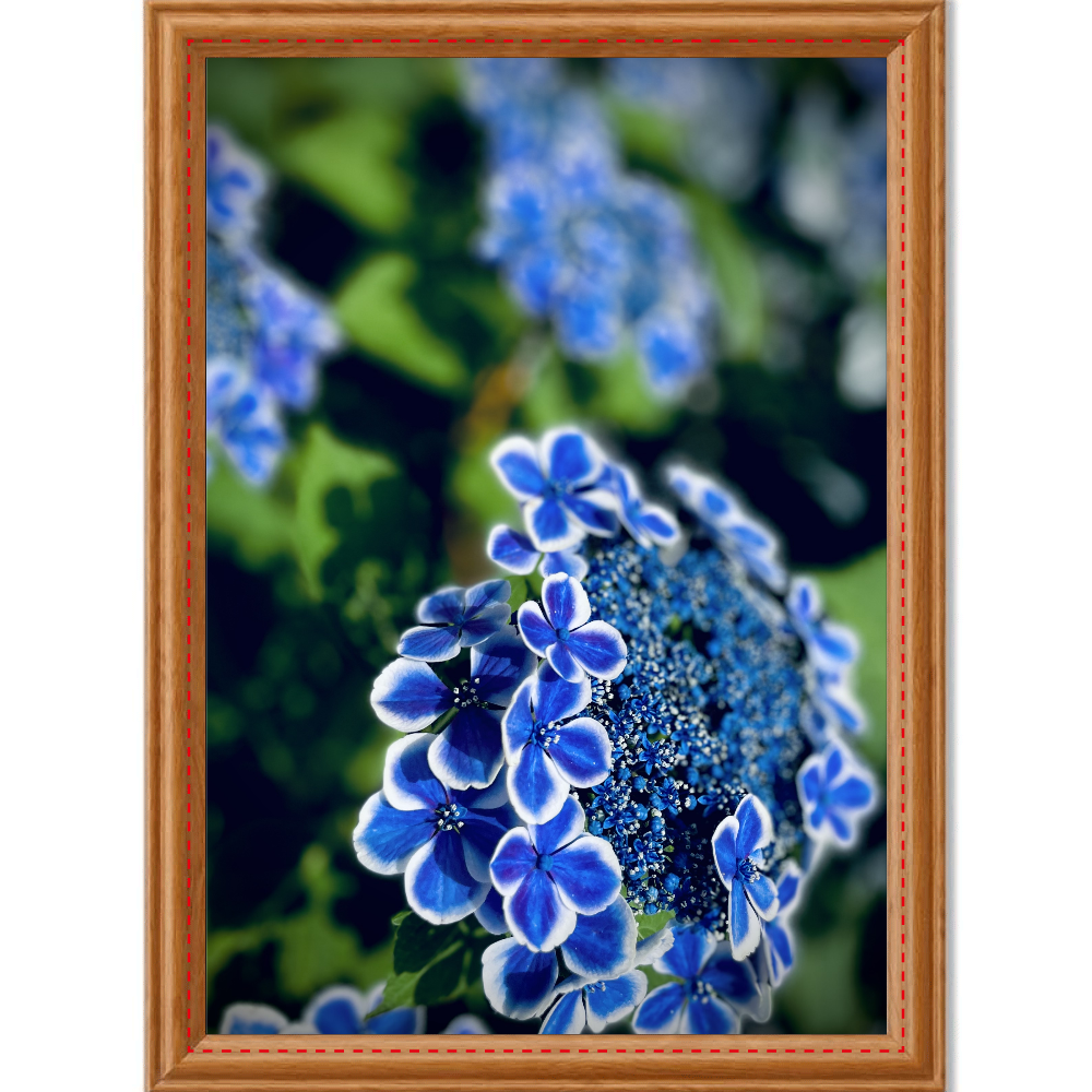 紫陽花の商品購入ページ オリジナルプリントグッズ販売のオリラボマーケット