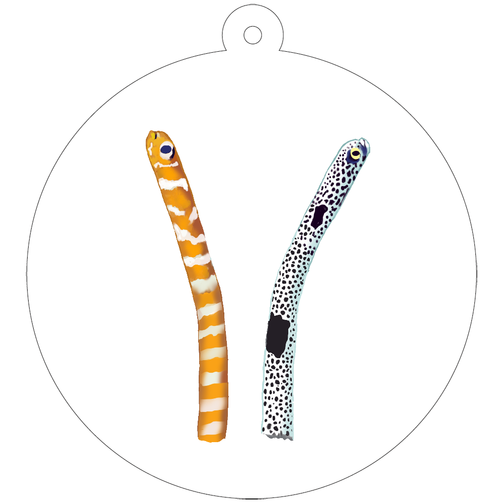 ニシキアナゴとチンアナゴ 04の商品購入ページ オリジナルプリントグッズ販売のオリラボマーケット