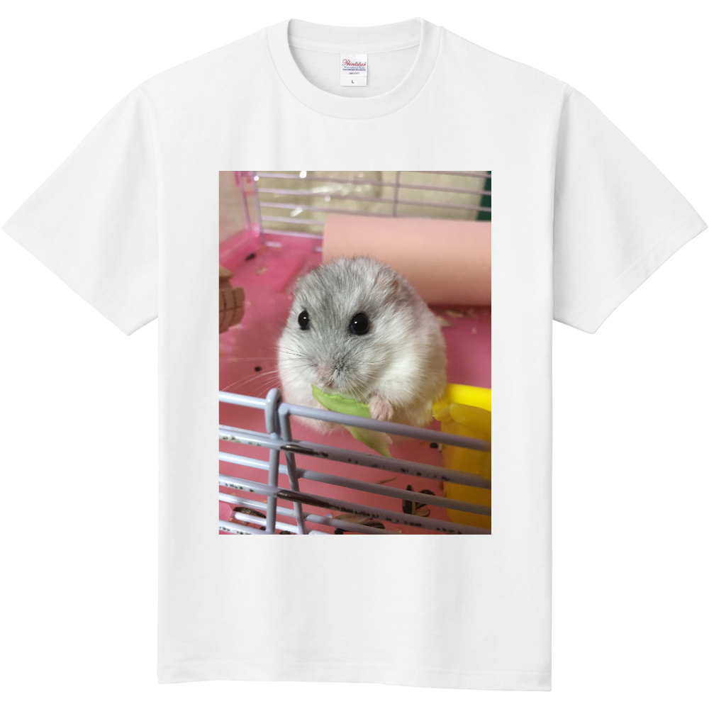 いちごぷりん On Twitter 子育て3日目 ケージを開けて様子を見ると外に出たので様子をみてると服をガシガシ 育児ストレス と思ったけど もしかして巣作りのために素材がいるのか