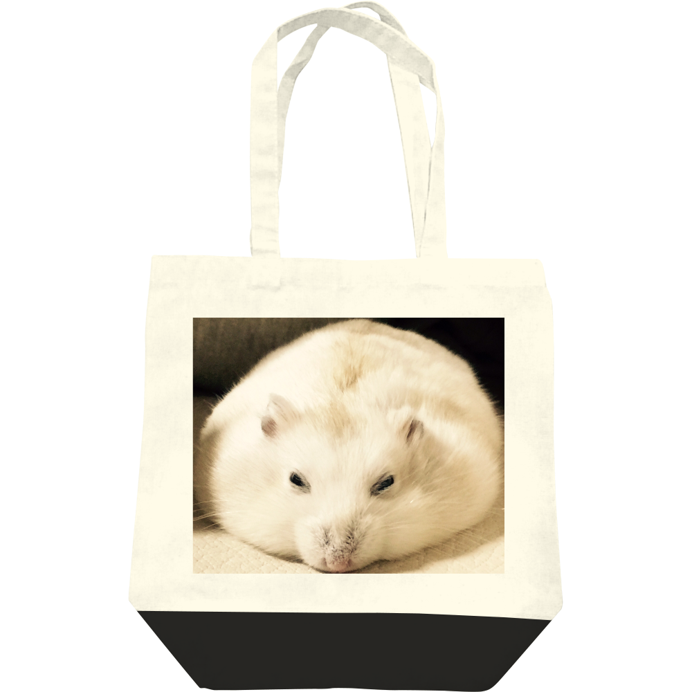  まったりぷぅ王子