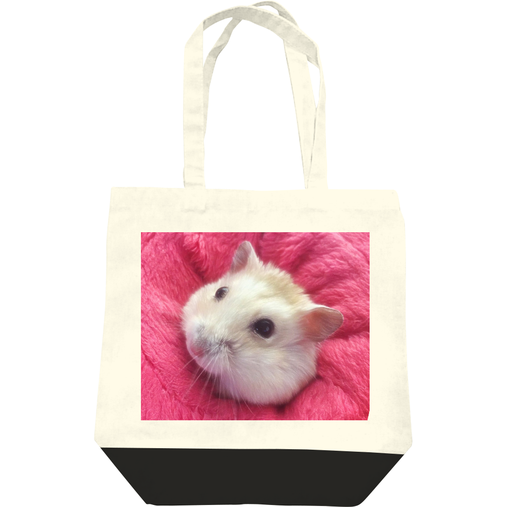  ひょっこりぷぅ王子