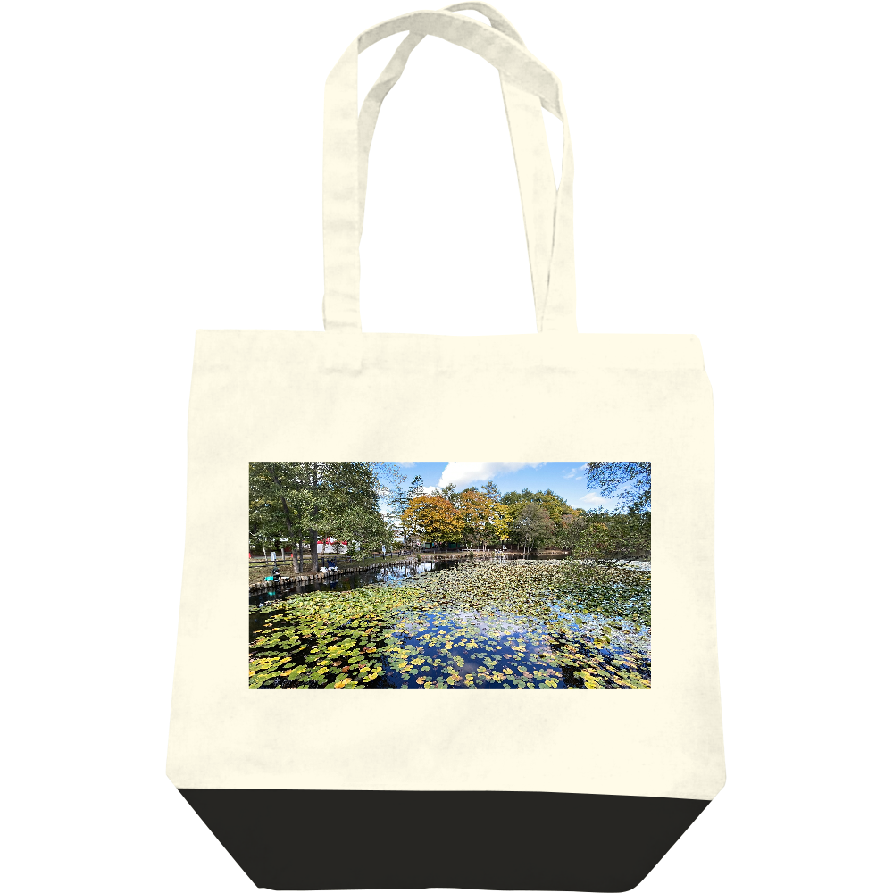  秋シロの秋の季節に