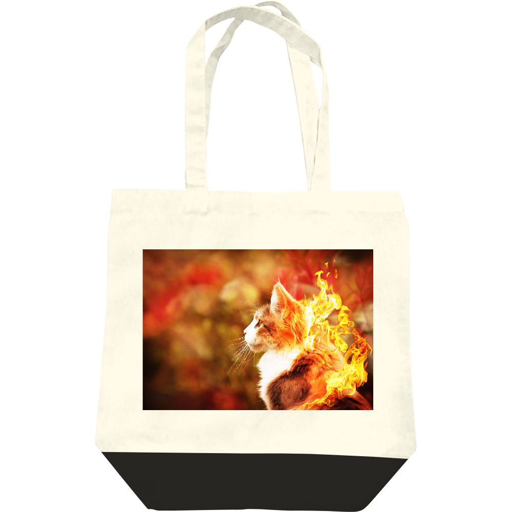  ファイアキャット02