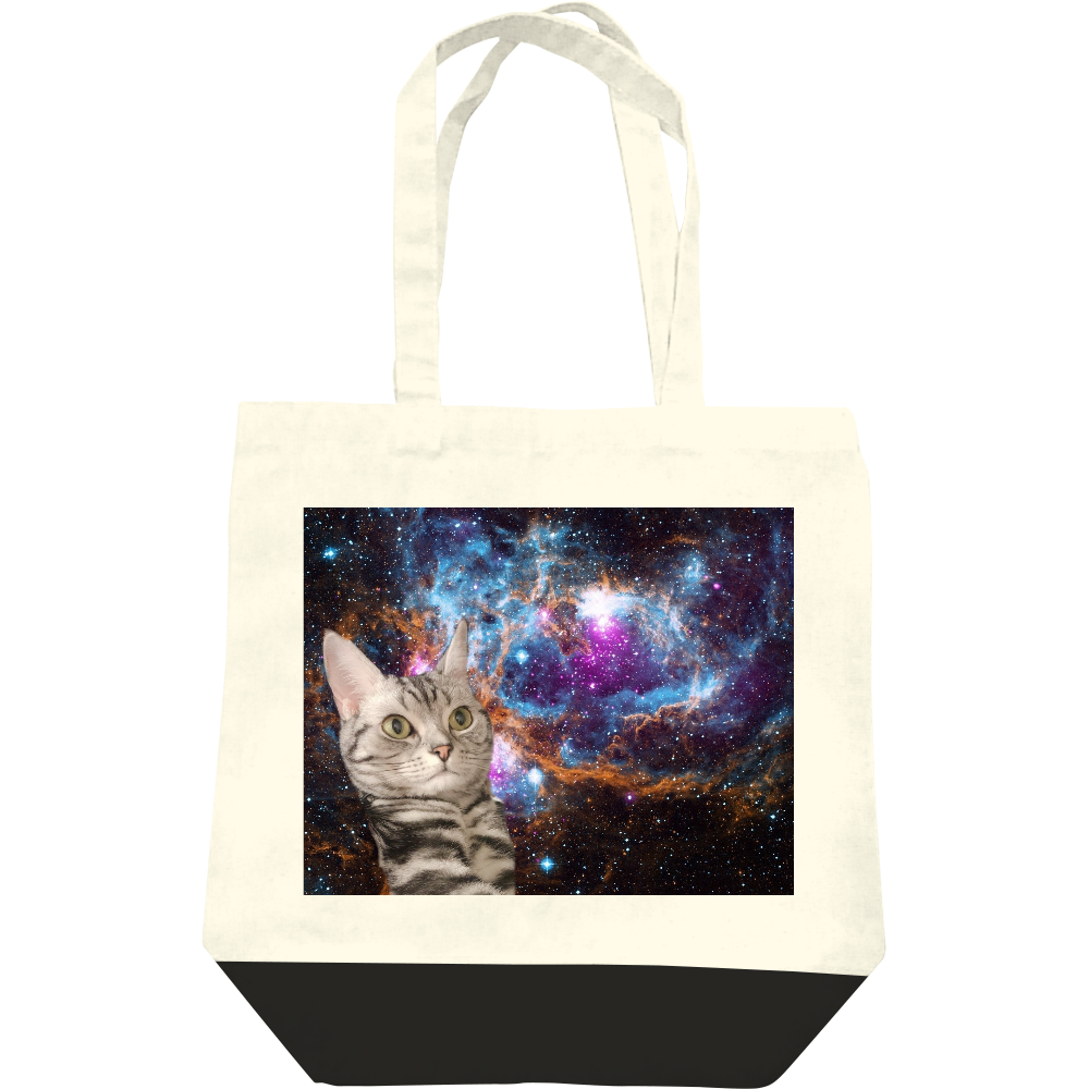  うちの宇宙猫