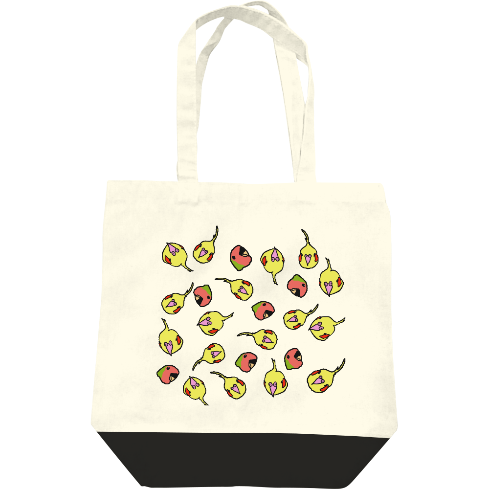  オカメインコと小桜インコ