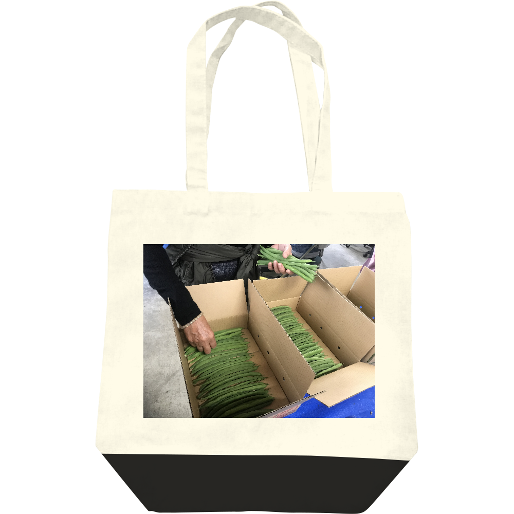  仕事姿(カラー)