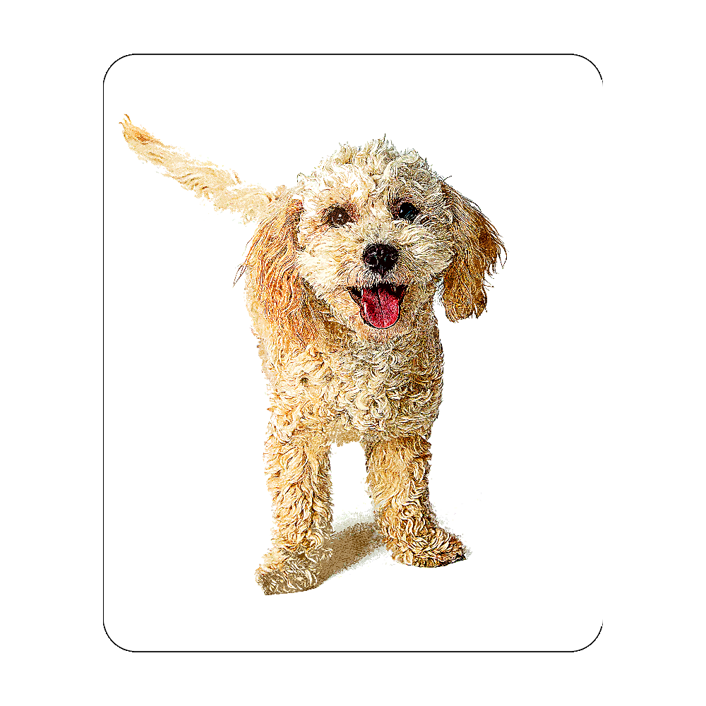 人気のイラストを使ったおしゃれな通販ならオリラボマーケット