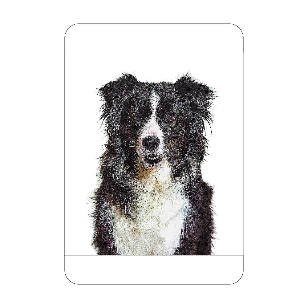 アクリルカード W59 H86クールなボーダーコリードッグ オリジナルスマホケース グッズ作成 プリントのスマホケースラボ アクリルカード W59 H86クールなボーダーコリードッグ オリジナルスマホケース グッズ作成 プリントのスマホケースラボ