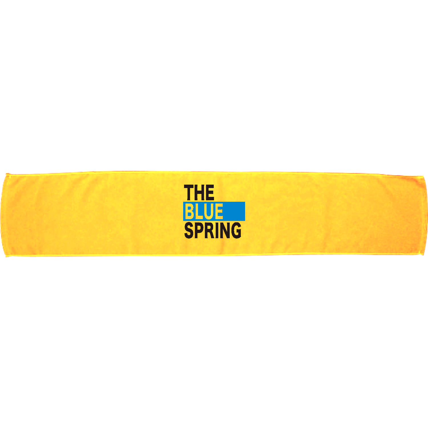  THE BLUE SPRING -青春-