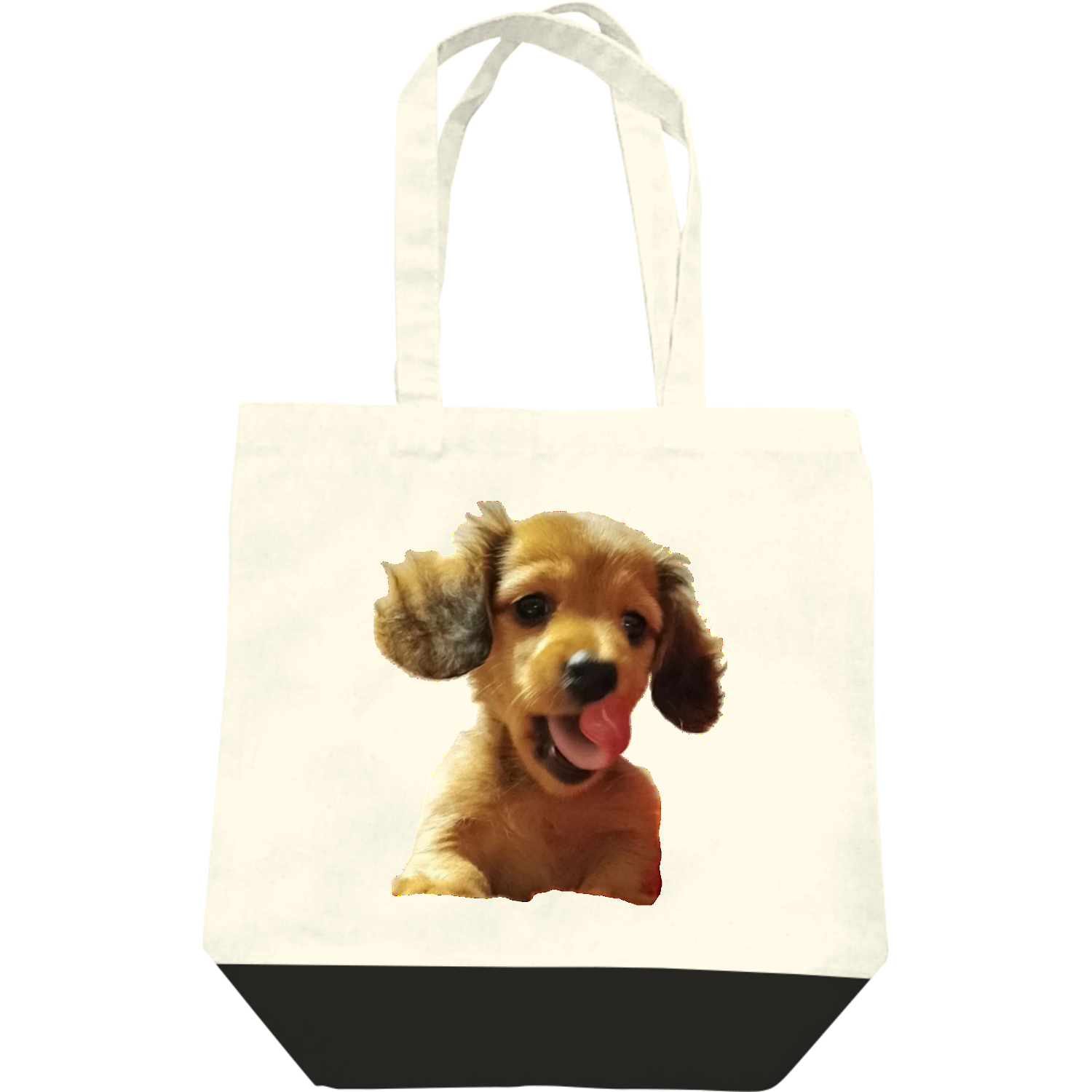  ペロリントッポ