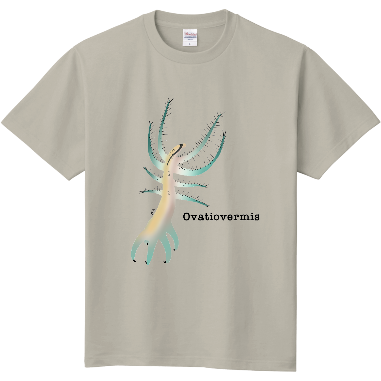  Ovatiovermis