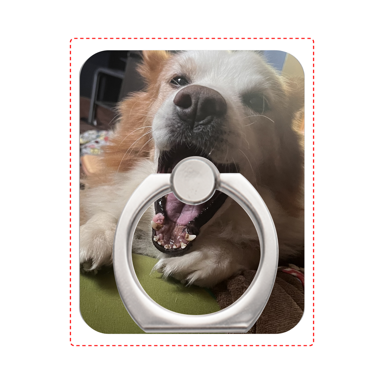 コーギーとスピッツのmix犬のスマホリング スマホリング｜ひびき
