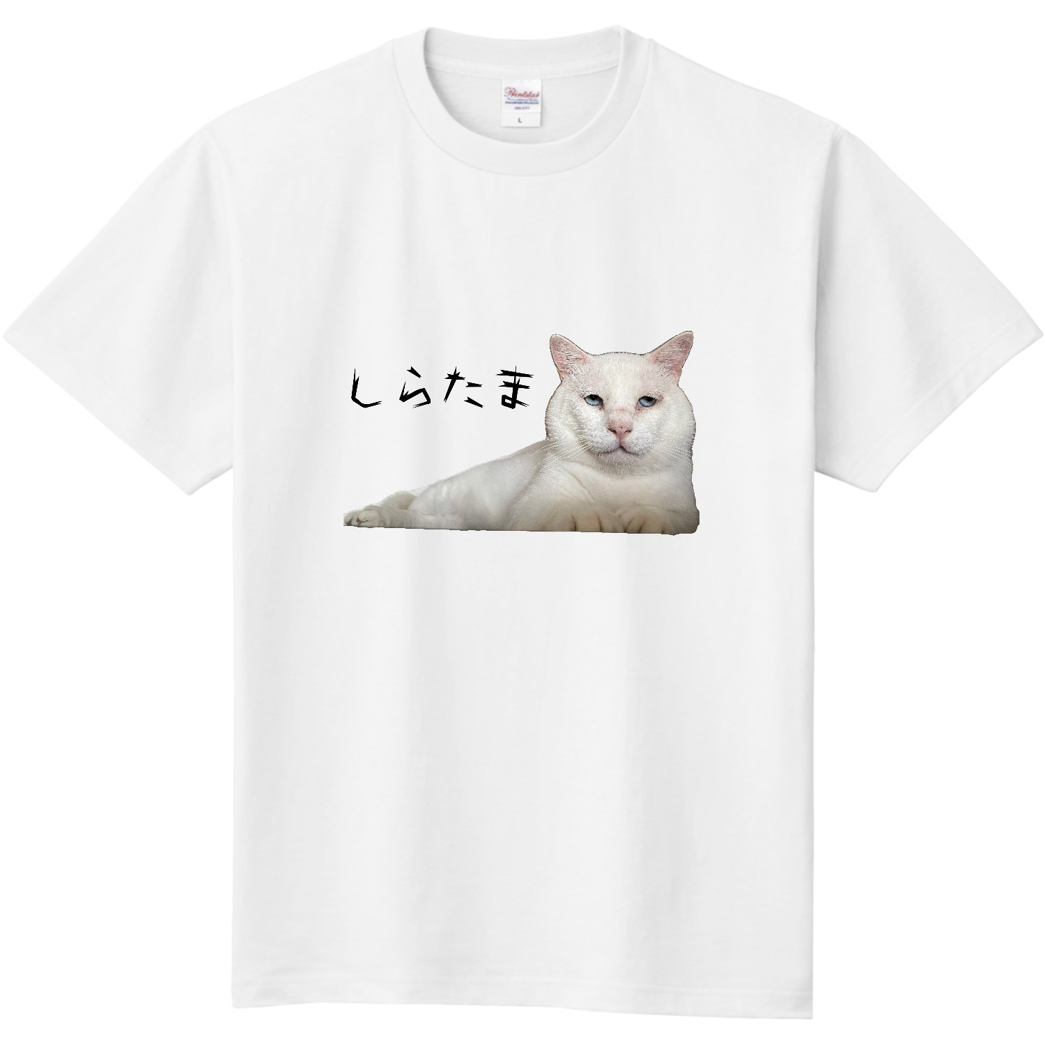  しらたまチャリティTシャツ