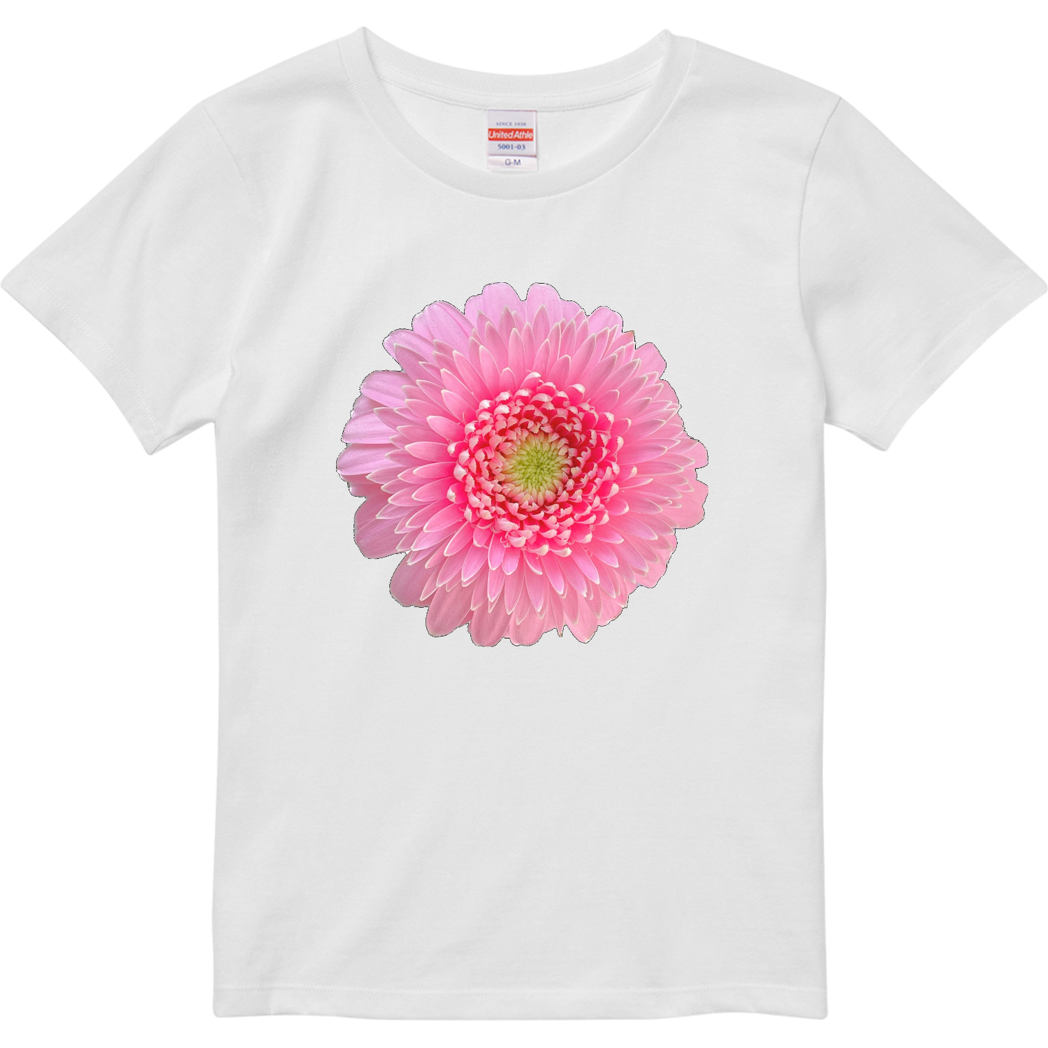 花図鑑 ガーベラピンク1 レディースTシャツ｜えめらるーど - オリラボ
