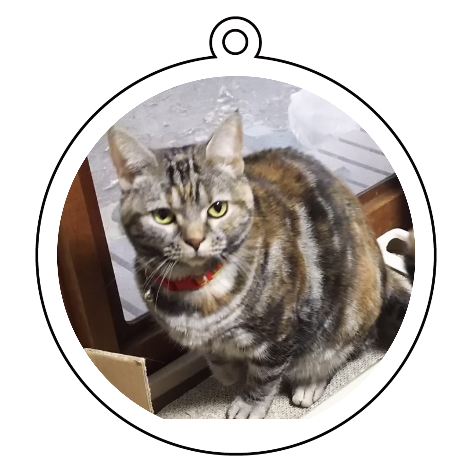 ウチの猫アクリルキーホルダー(両面印刷) 丸型 (10cm)の商品購入ページ