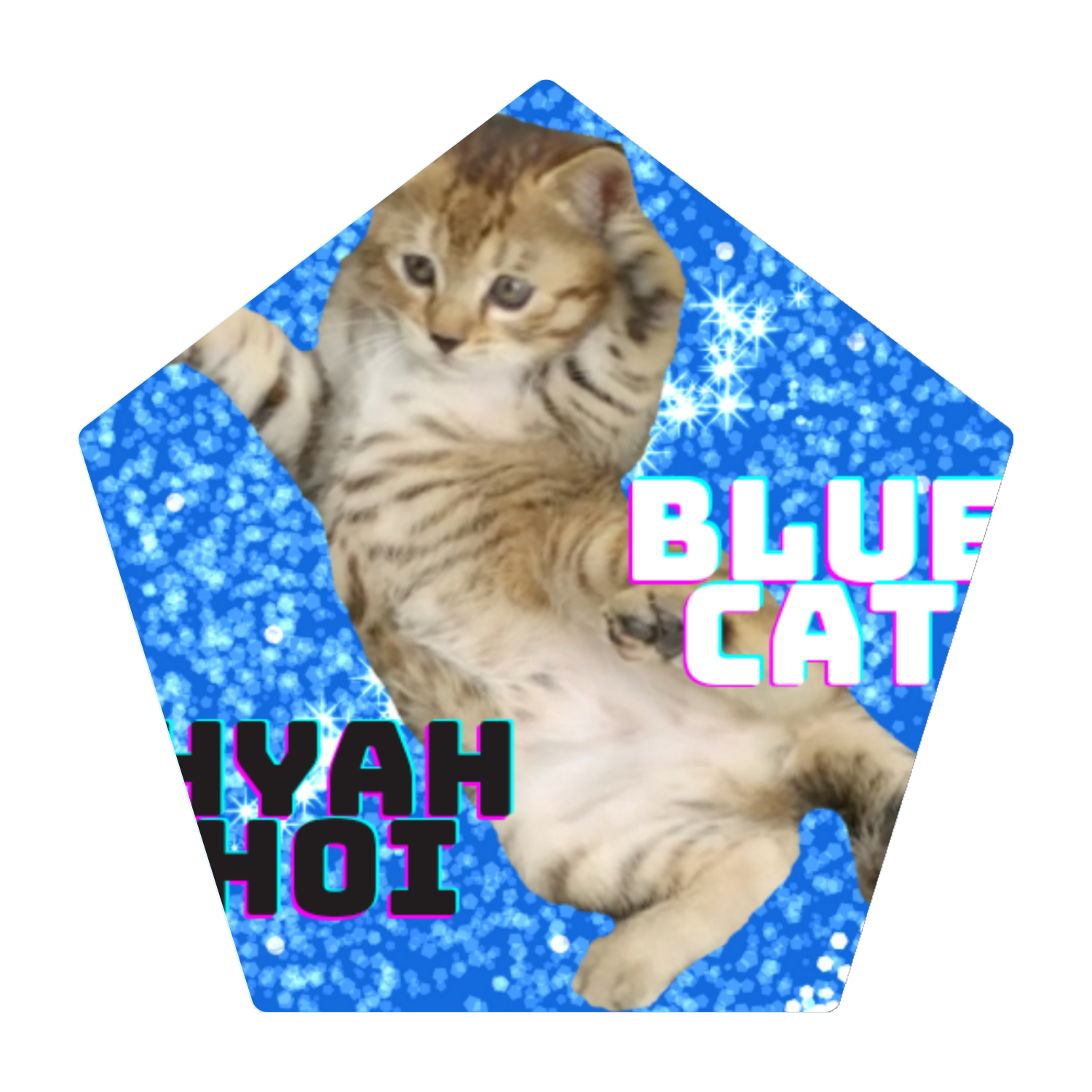 青と猫 コースター｜おねこ☆ - オリラボマーケット