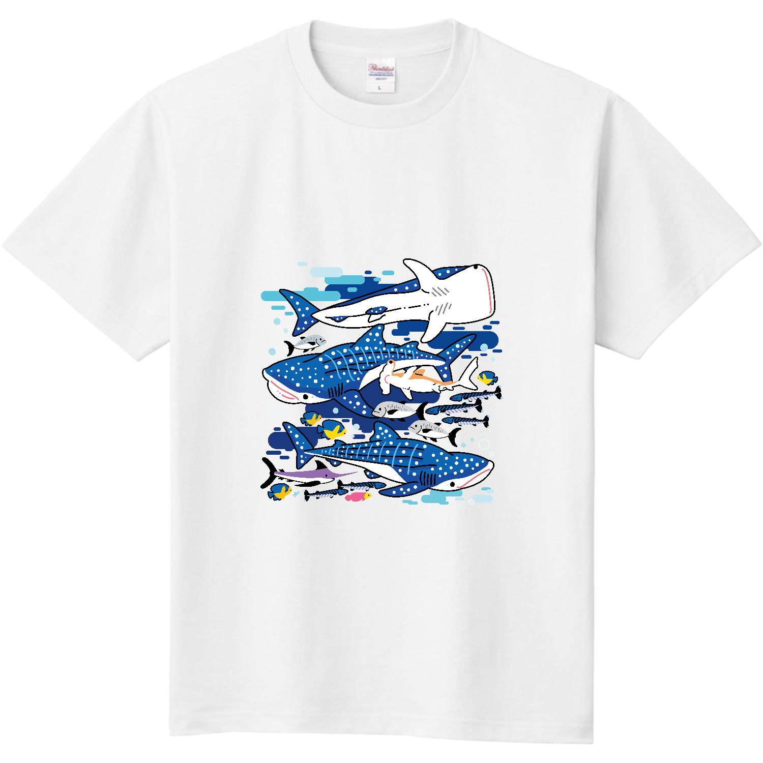  ジンベエザメの海2