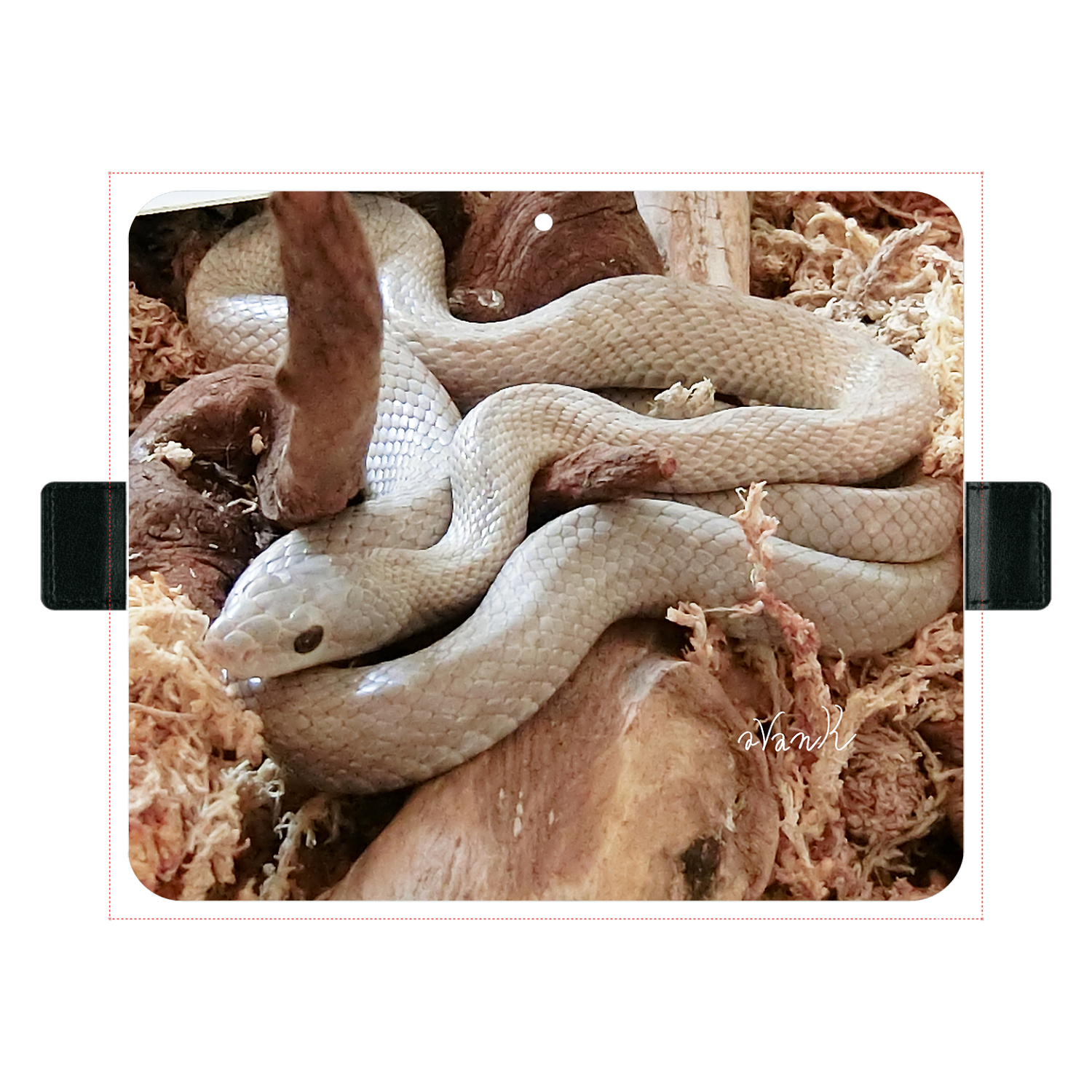 https://orilab-production.s3-ap-northeast-1.amazonaws.com/PreviewImages/683494dd62fc4.png