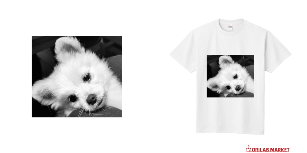 白いポメラニアン Tシャツ｜hana873 - オリラボマーケット