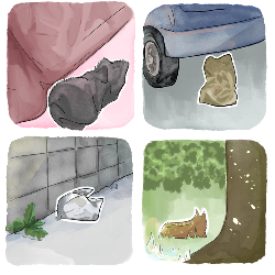 NEKOKAMO_黒地用