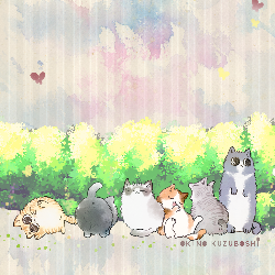 けぱけぱした子猫