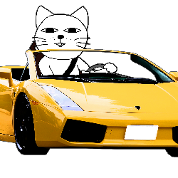 にゃんきち、黄色いくるまを運転
