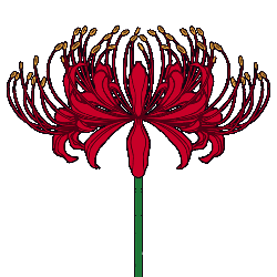 彼岸花