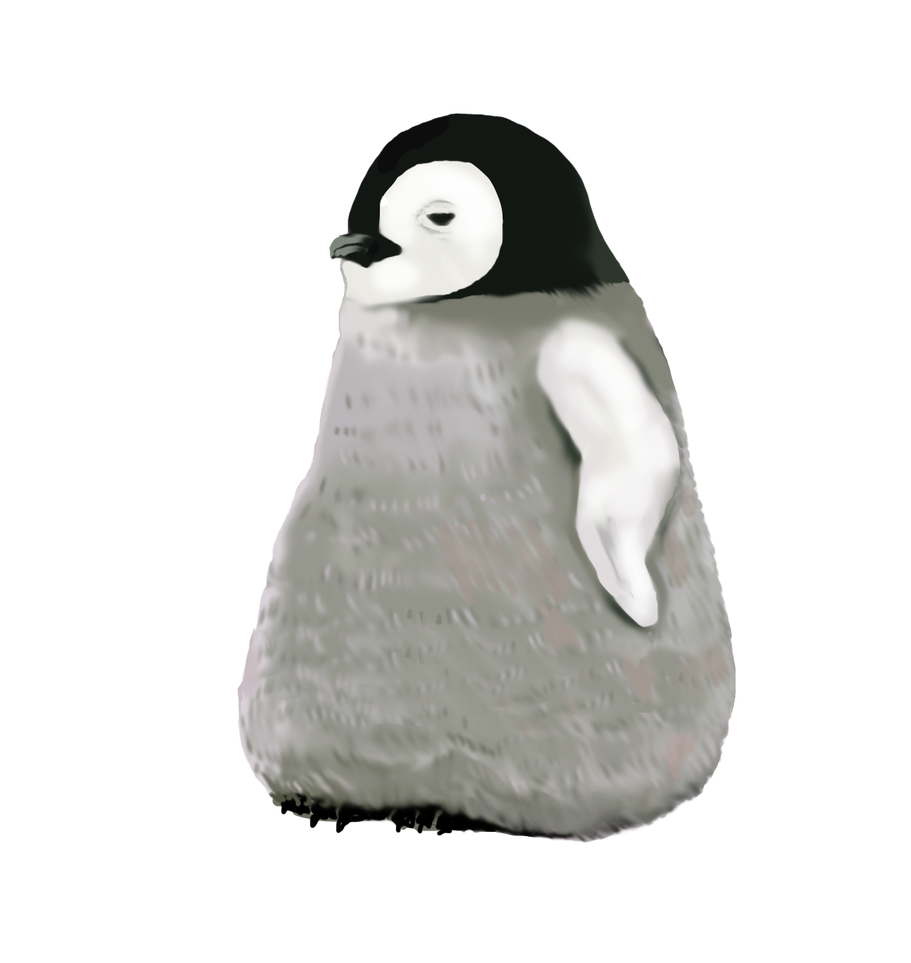 モフモフ赤ちゃんペンギン 01bの商品購入ページ オリジナルプリントグッズ販売のオリラボマーケット モフモフ赤ちゃんペンギン 01bの商品購入ページ オリジナルプリントグッズ販売のオリラボマーケット