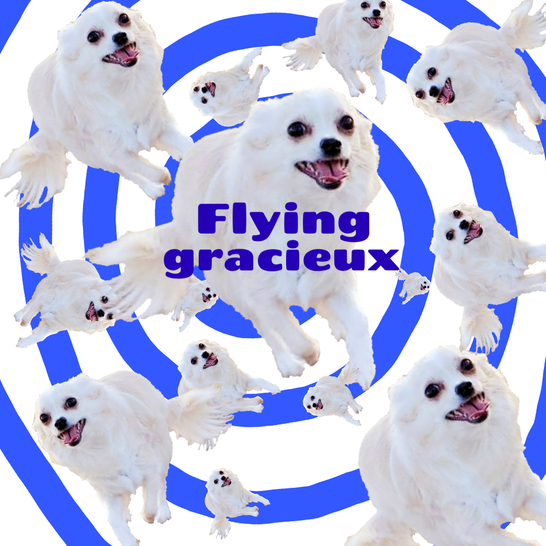 チワワのぐるぐるぐらぽん チワワイラスト登録完了 オリジナルプリントグッズ販売のオリラボマーケット