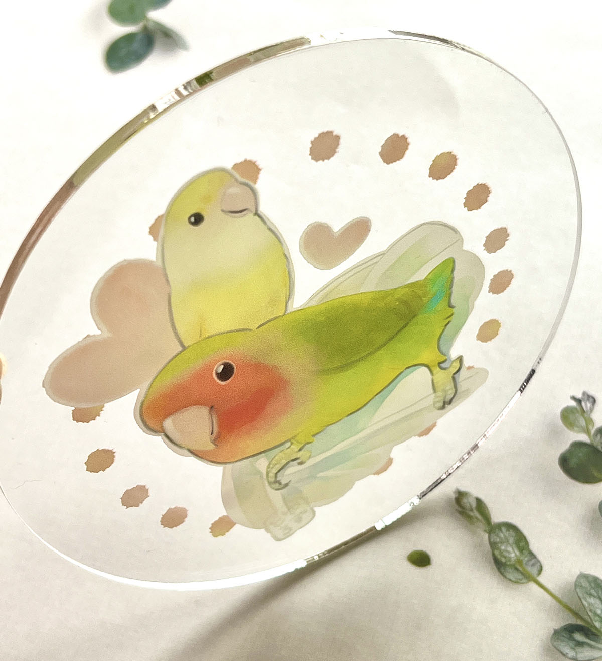 仲良しコザクラ二羽（キメッ）アクリルコースター（丸）の商品